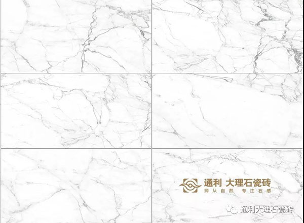 【通利大理石瓷砖】西班牙细花白-难以抗拒的自然与舒适(图4)