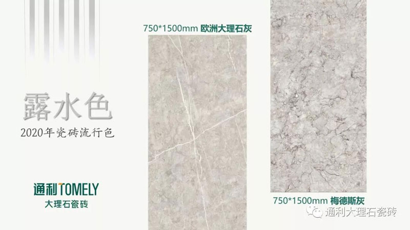 中国瓷砖色彩研发基地/通利TOMELY发布：2019-2020年墙地面六大瓷砖流行色(图9)